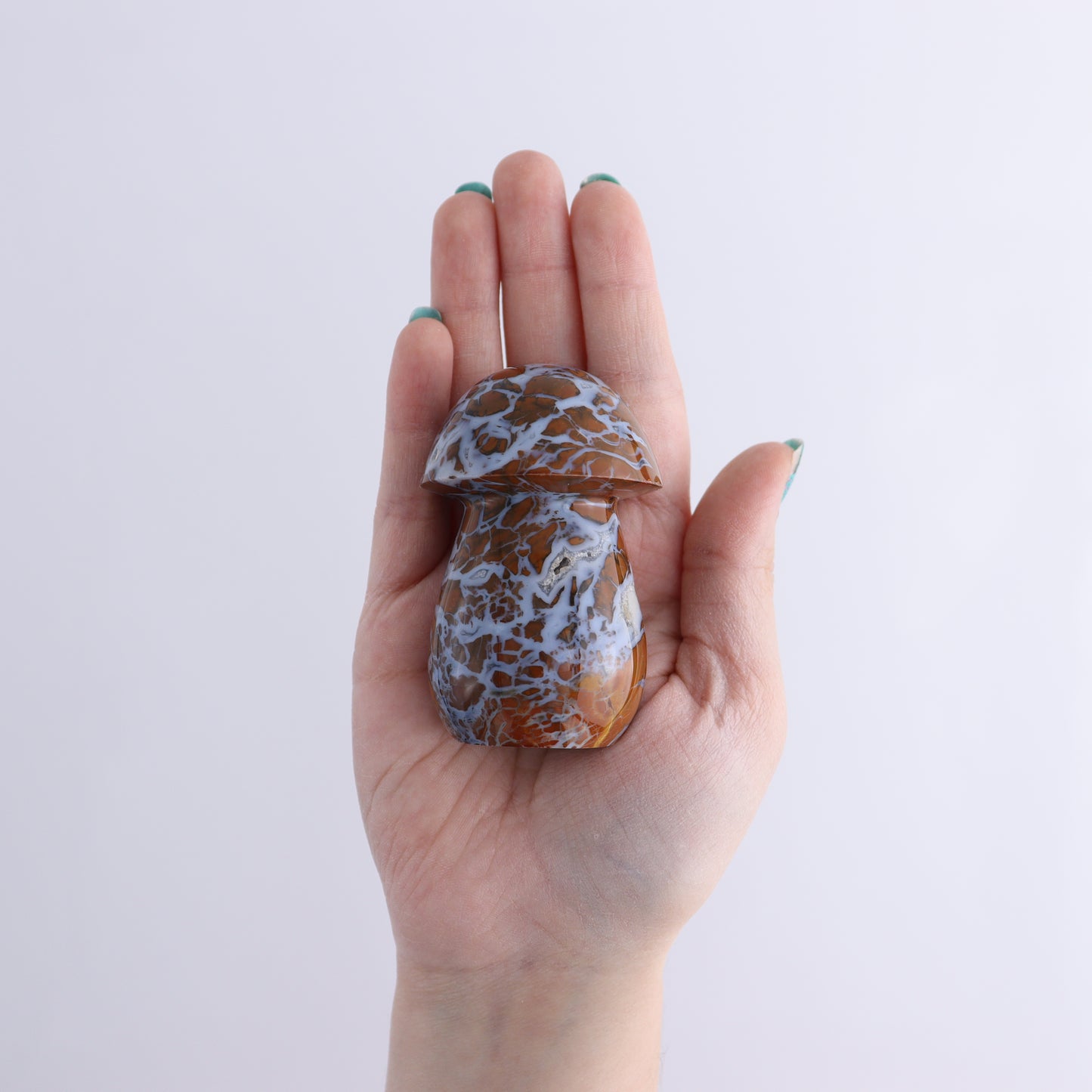 Brecciated Jasper Mushrooms Set of 12 - Expert Wholesale and Supplier of Wholesale Crystals & Bulk Gemstones, ["Brecciated Jasper","Indonesia","Mushrooms"]
