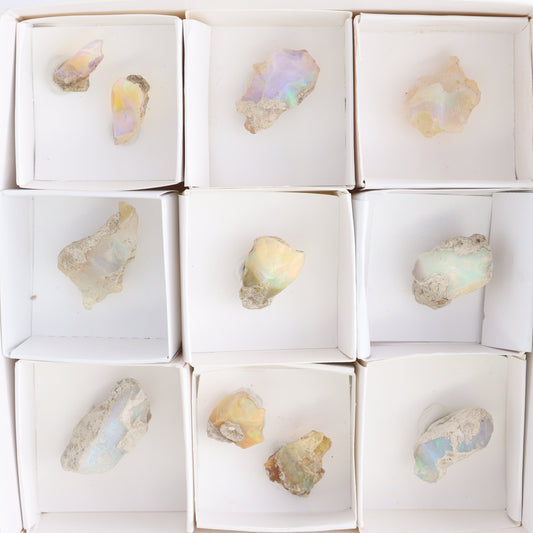Ethiopian Opal Set of 11 - Expert Wholesale and Supplier of Wholesale Crystals & Bulk Gemstones, ["Ethiopia","ethiopian opal","Opal"]