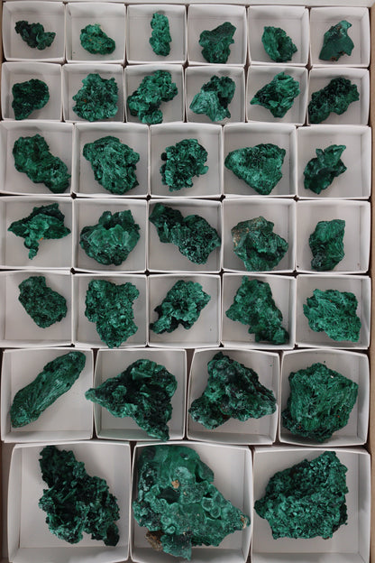 Malachite Flat - Expert Supplier of Wholesale Crystals & Bulk Gemstones