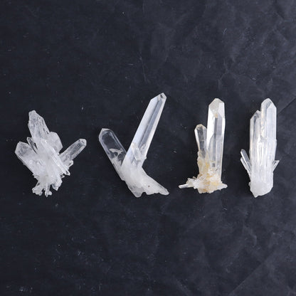 Lemurian Clusters from Columbia Set of 20