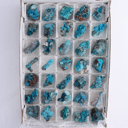 Chrysocolla on Quartz Roughs Set of 35