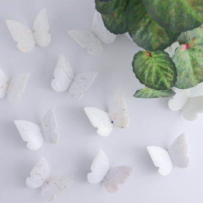 Plume Agate Butterflies Set of 10 - Expert Wholesale and Supplier of Wholesale Crystals & Bulk Gemstones, ["Agate","Butterflies","Butterfly","Plume Agate"]