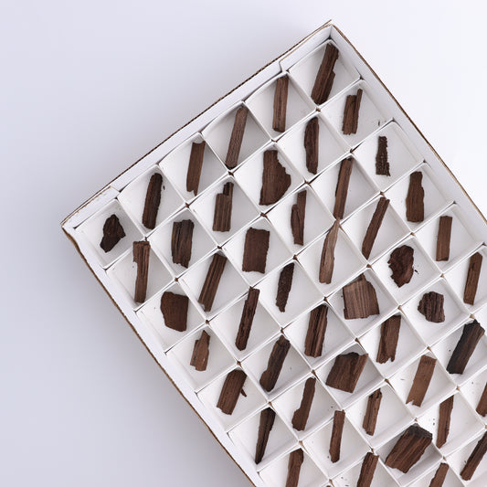 Permineralized Wood Flat of 54 - Expert Wholesale and Supplier of Wholesale Crystals & Bulk Gemstones, ["Flats","Germany","Permineralized Wood"]