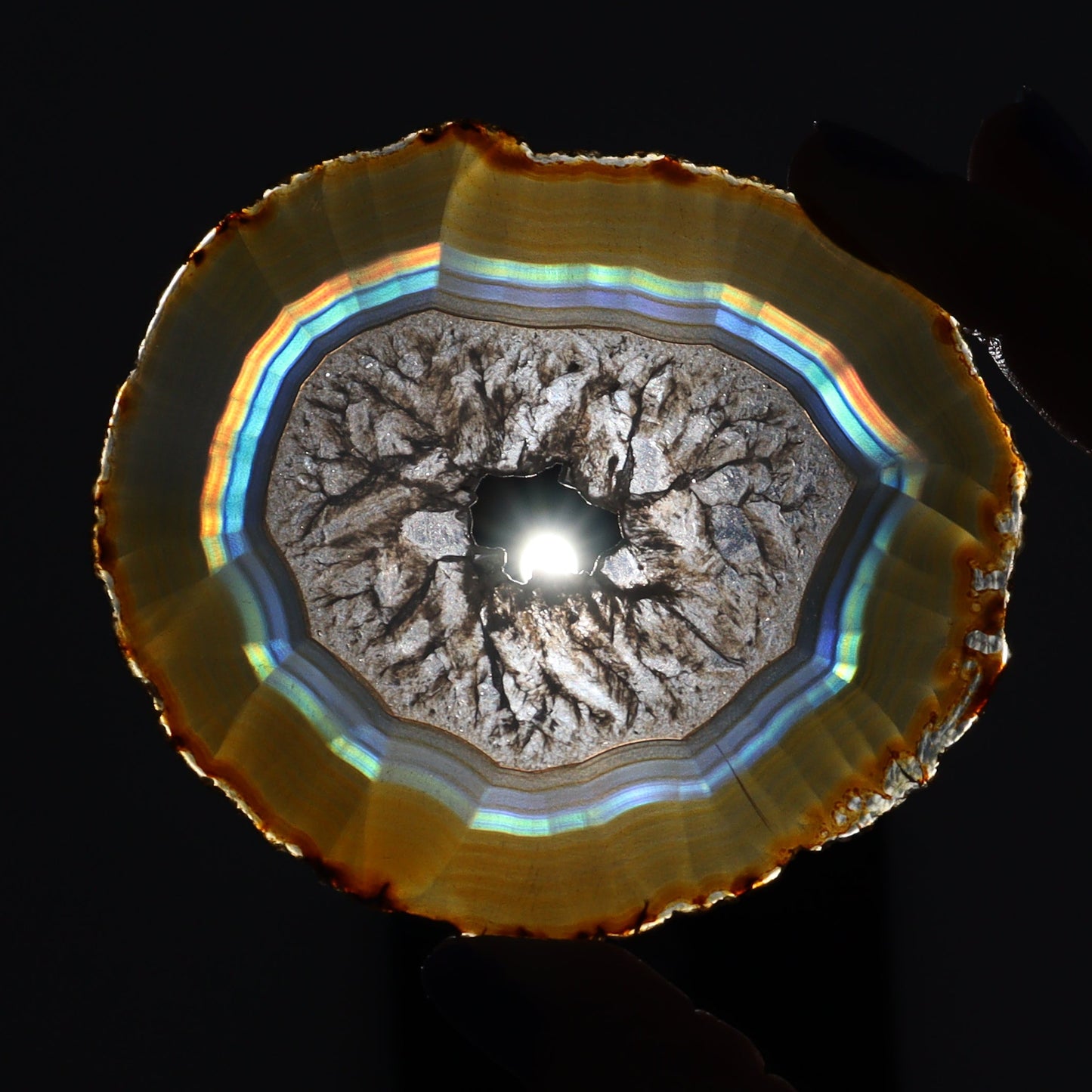 Iris Agate Slices Set of 5 - Expert Wholesale and Supplier of Wholesale Crystals & Bulk Gemstones, ["Agate","Iris Agate","Slices and Slabs"]