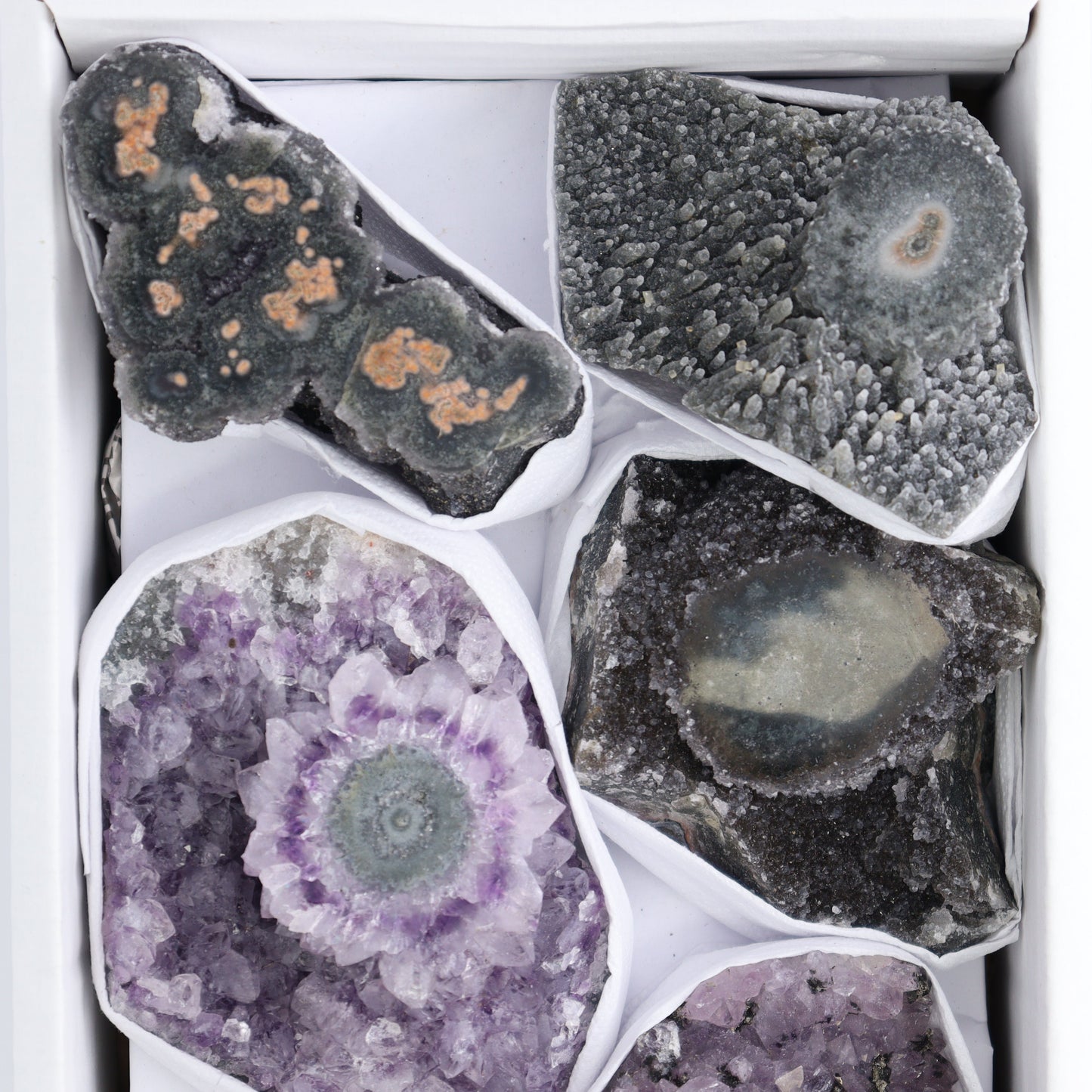 Uruguay Amethyst Clusters with "Eyes" Flat of 7 - Expert Wholesale and Supplier of Wholesale Crystals & Bulk Gemstones, ["Amethyst","Amethyst Eyes","Clusters","Uruguay"]