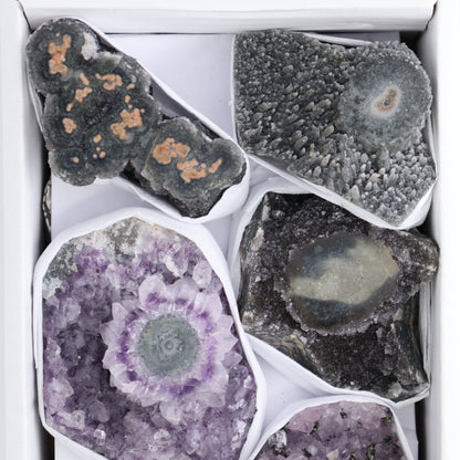 Uruguay Amethyst Clusters with "Eyes" Flat of 7 - Expert Wholesale and Supplier of Wholesale Crystals & Bulk Gemstones, ["Amethyst","Amethyst Eyes","Clusters","Uruguay"]