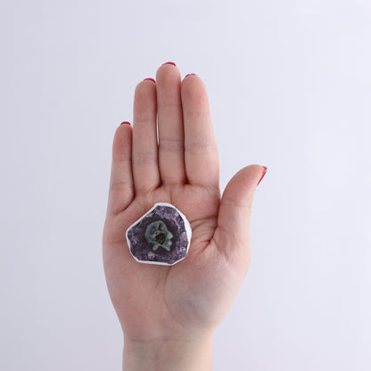 Uruguay Amethyst Clusters with "Eyes" Flat of 13 - Expert Wholesale and Supplier of Wholesale Crystals & Bulk Gemstones, ["Amethyst","Clusters","Eyes Amethyst","Uruguay"]