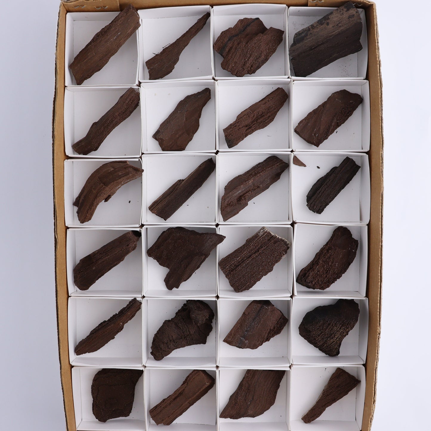 Permineralized Wood Flat of 24 - Expert Wholesale and Supplier of Wholesale Crystals & Bulk Gemstones, ["Flats","Germany","Permineralized Wood"]