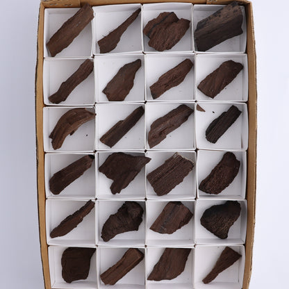 Permineralized Wood Flat of 24 - Expert Wholesale and Supplier of Wholesale Crystals & Bulk Gemstones, ["Flats","Germany","Permineralized Wood"]
