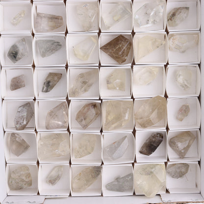 Quartz with Inclusions Feeforms Set of 54