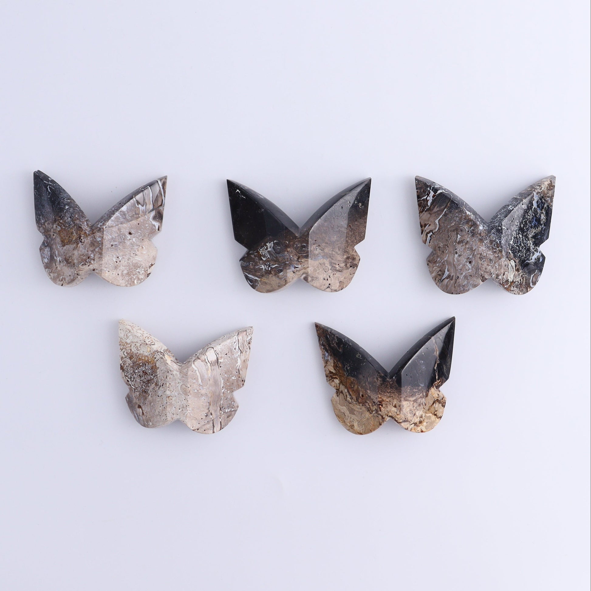 Butterflies Blue Palm Root & Fossil Coral Set of 10 - Expert Wholesale and Supplier of Wholesale Crystals & Bulk Gemstones, ["Butterflies","fossil coral","Palm Root"]