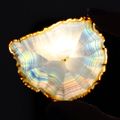 Iris Agate Slices Set of 7 - Expert Wholesale and Supplier of Wholesale Crystals & Bulk Gemstones, ["Agate","Iris Agate","Slices and Slabs"]