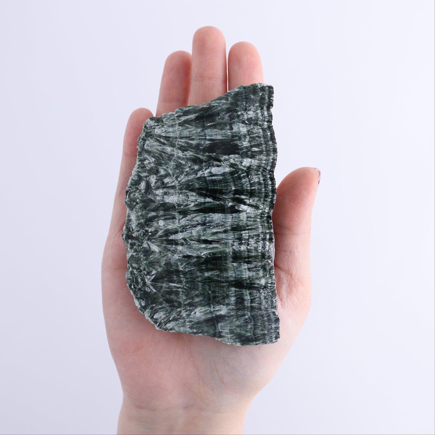 Seraphinite Slices Set of 4 - Expert Wholesale and Supplier of Wholesale Crystals & Bulk Gemstones, ["Russia","Seraphinite","Slices and Slabs"]