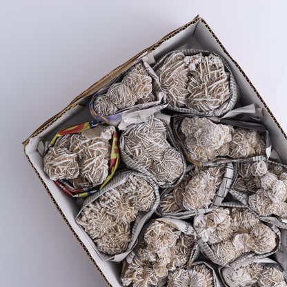 Desert Rose Set of 14 - Expert Wholesale and Supplier of Wholesale Crystals & Bulk Gemstones, ["Desert Rose","Freeforms","Morocco"]
