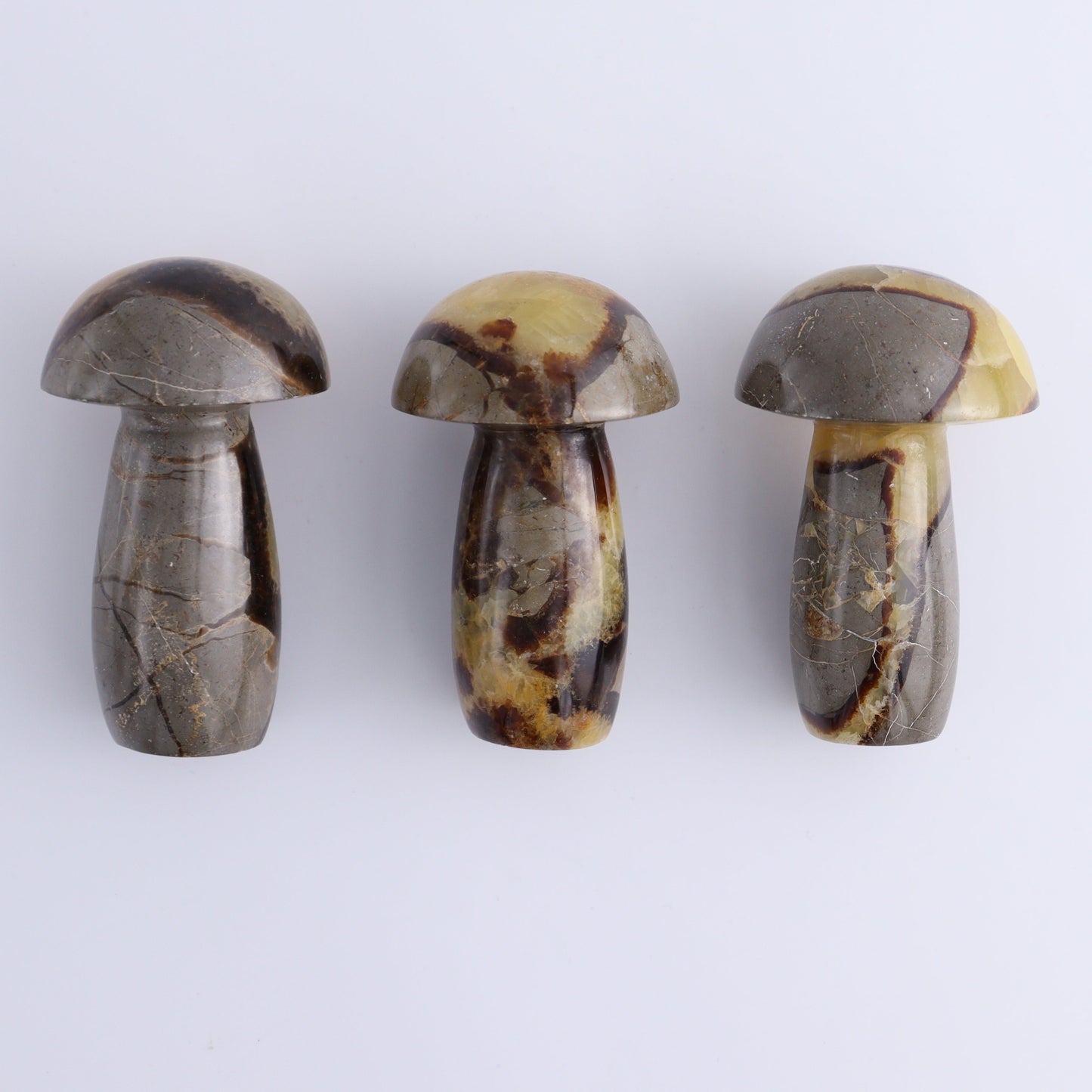 Septarian Mushrooms Set of 6 - Expert Wholesale and Supplier of Wholesale Crystals & Bulk Gemstones, ["Mushrooms","Septarian"]