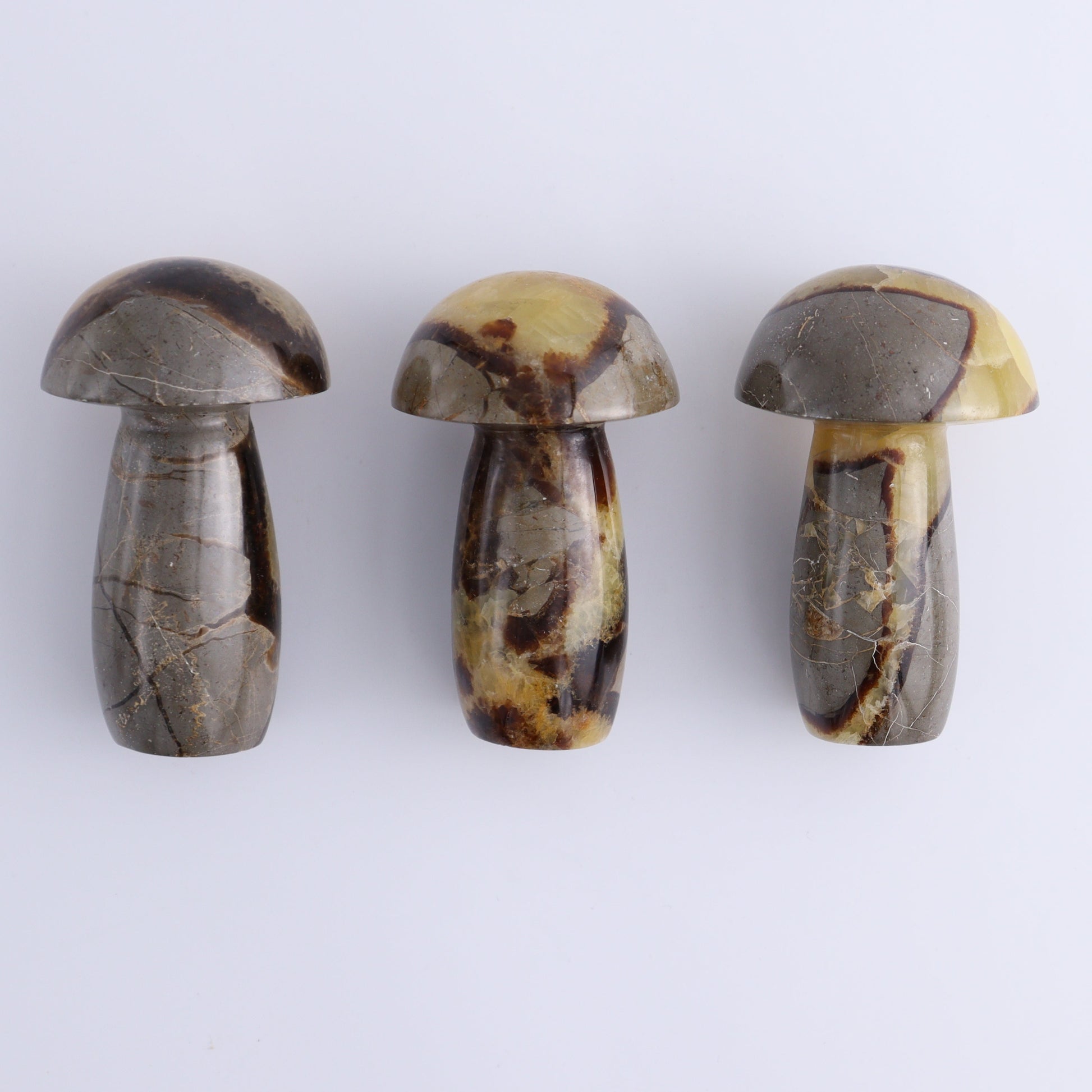 Septarian Mushrooms Set of 6 - Expert Wholesale and Supplier of Wholesale Crystals & Bulk Gemstones, ["Mushrooms","Septarian"]