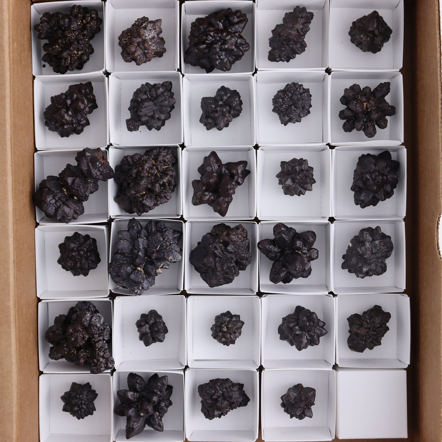 Egyptian Prophecy Stones Flat Set of 29 - Expert Wholesale and Supplier of Wholesale Crystals & Bulk Gemstones, ["Egypt","Freeforms","Prophecy Stone"]