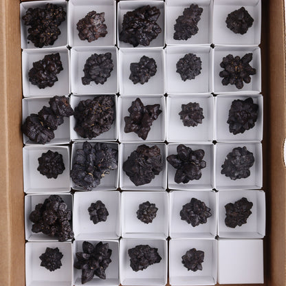 Egyptian Prophecy Stones Flat Set of 29 - Expert Wholesale and Supplier of Wholesale Crystals & Bulk Gemstones, ["Egypt","Freeforms","Prophecy Stone"]