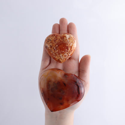 Carnelian Hearts Flat of 15 - Expert Wholesale and Supplier of Wholesale Crystals & Bulk Gemstones, ["carnelian","Hearts","Madagascar"]