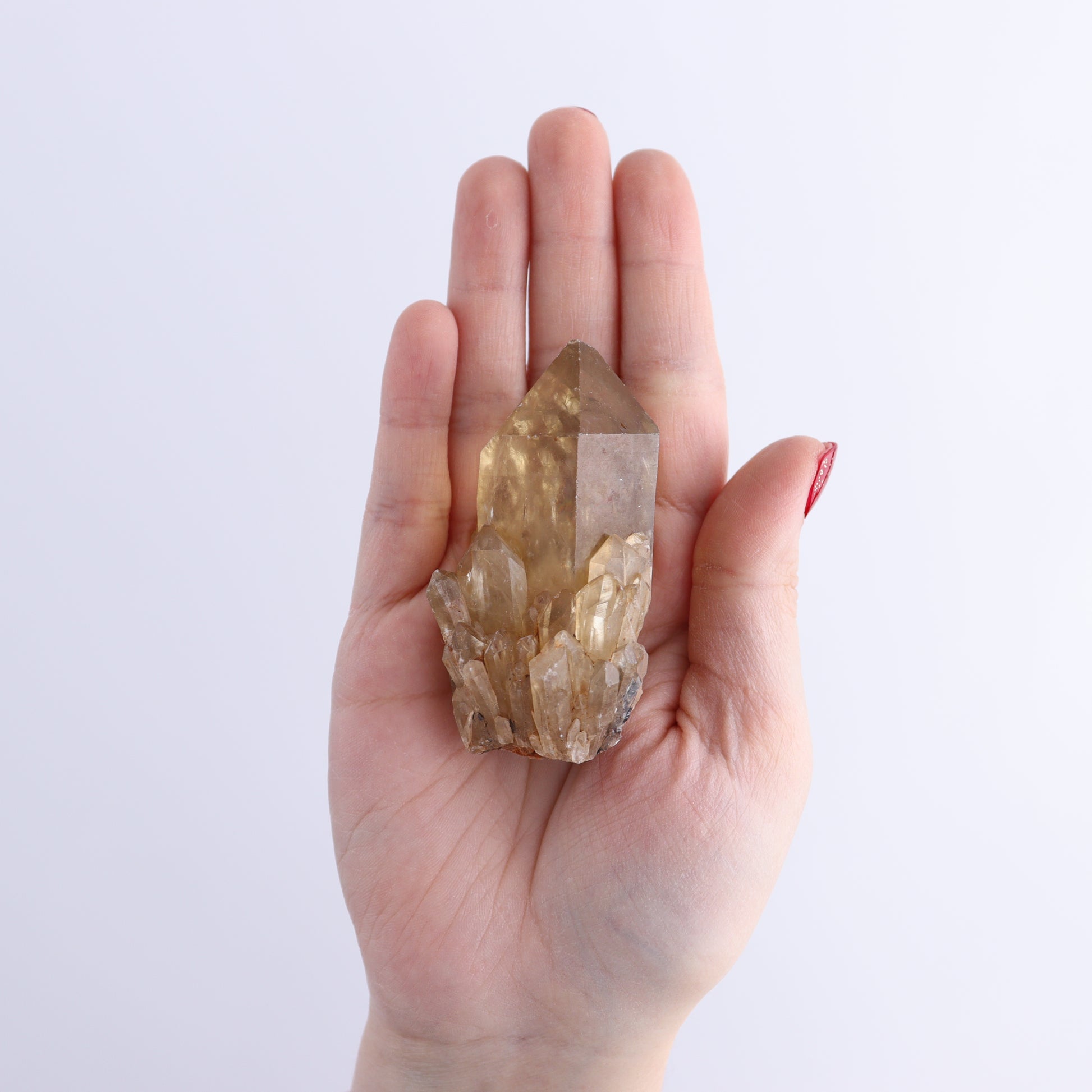 Congo Citrine Set of 12 - Expert Wholesale and Supplier of Wholesale Crystals & Bulk Gemstones, ["Citrine","Congo","Rough","Roughs"]