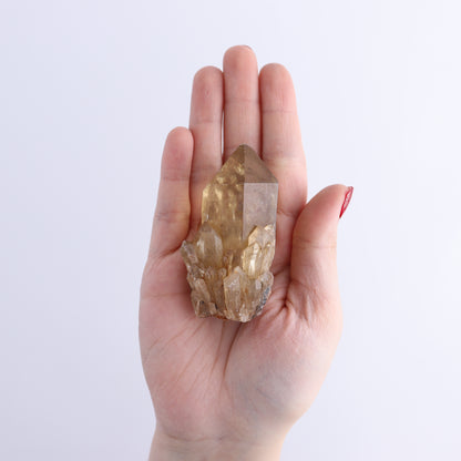 Congo Citrine Set of 12 - Expert Wholesale and Supplier of Wholesale Crystals & Bulk Gemstones, ["Citrine","Congo","Rough","Roughs"]