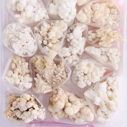 Calcite Aragnotie Flat from Morocco - Expert Wholesale and Supplier of Wholesale Crystals & Bulk Gemstones, ["aragonite","Calcite","Flats","Morocco"]