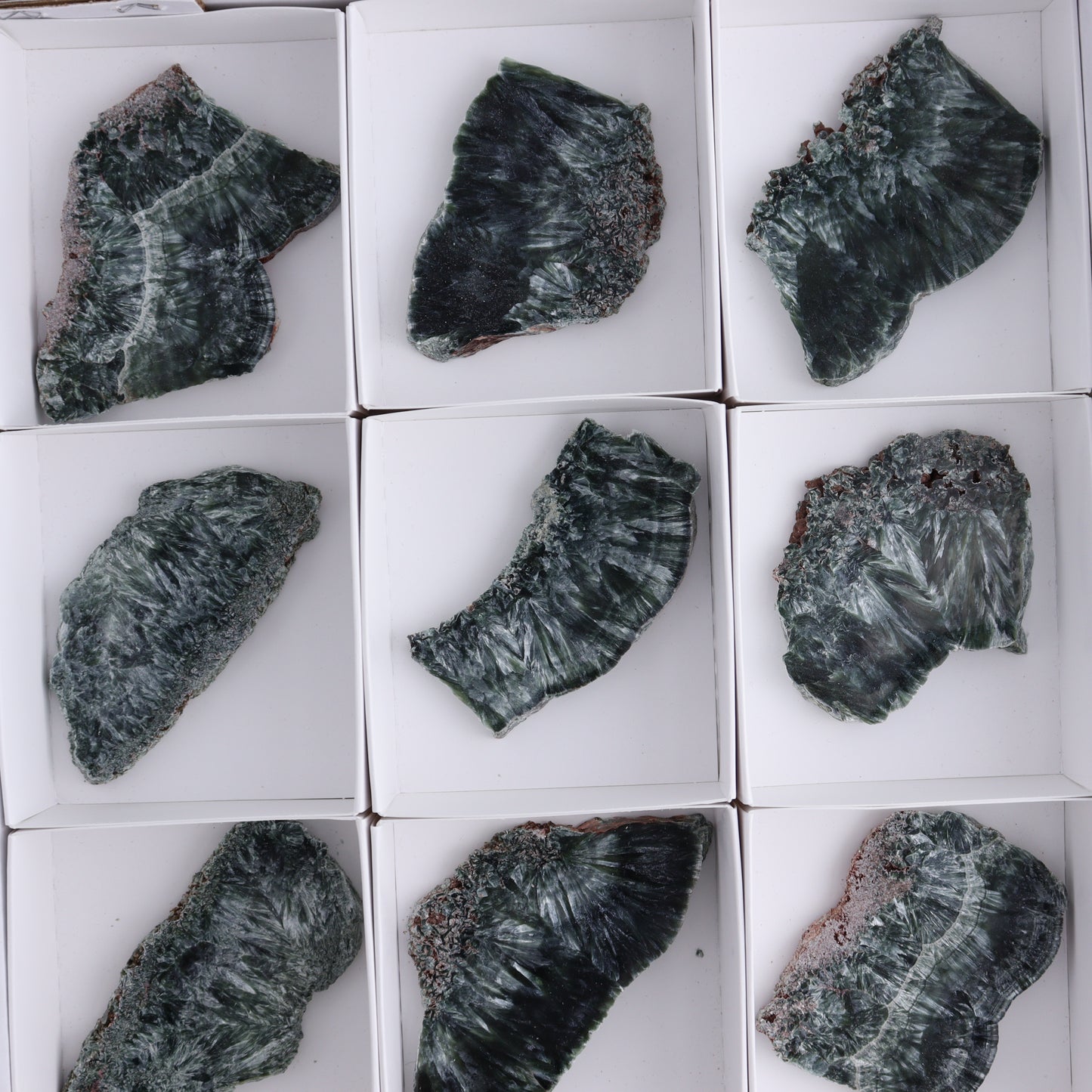 Seraphinite Slices Set of 12 - Expert Wholesale and Supplier of Wholesale Crystals & Bulk Gemstones, ["Seraphinite","Slices and Slabs"]