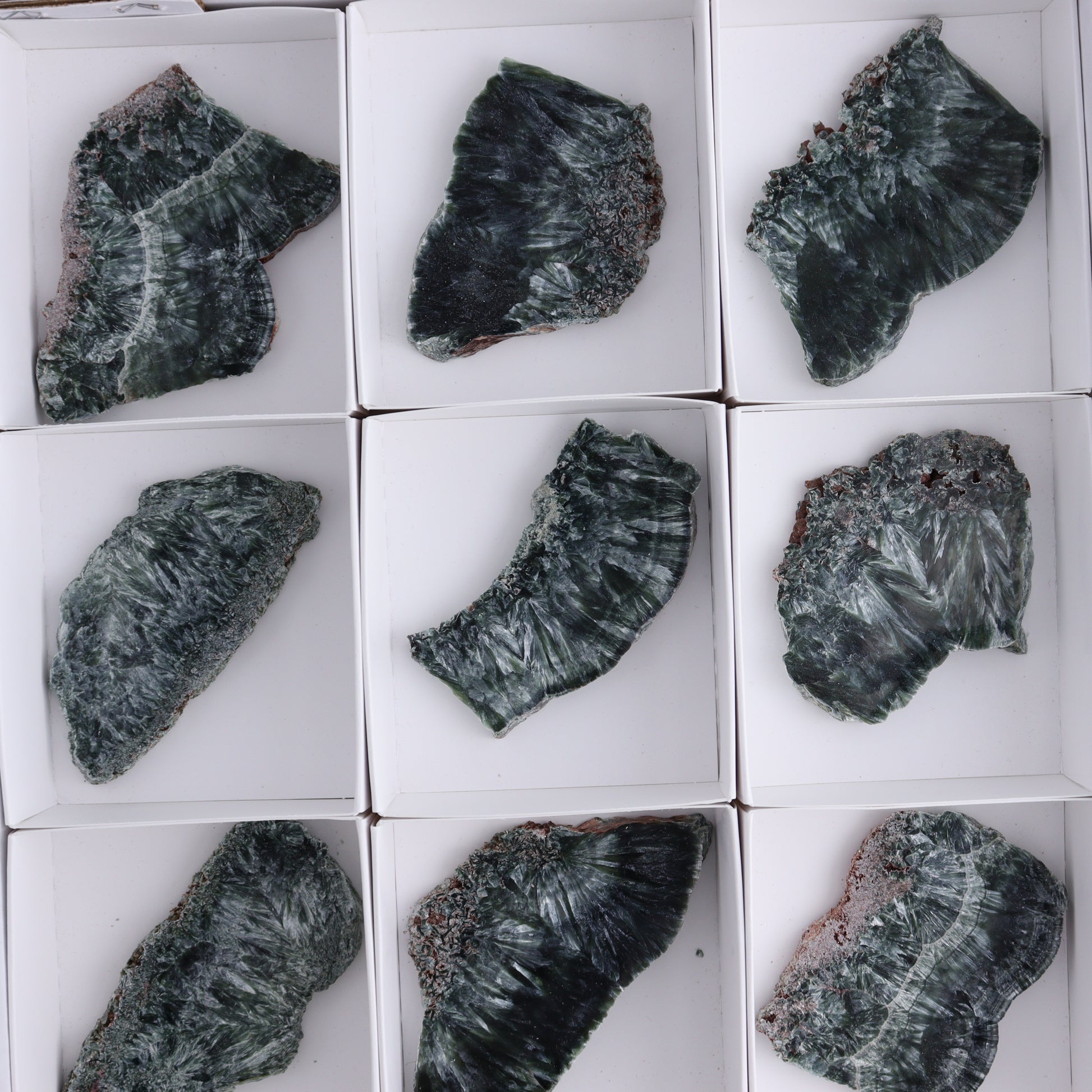 Seraphinite Slices Set of 12 - Expert Wholesale and Supplier of Wholesale Crystals & Bulk Gemstones, ["Seraphinite","Slices and Slabs"]