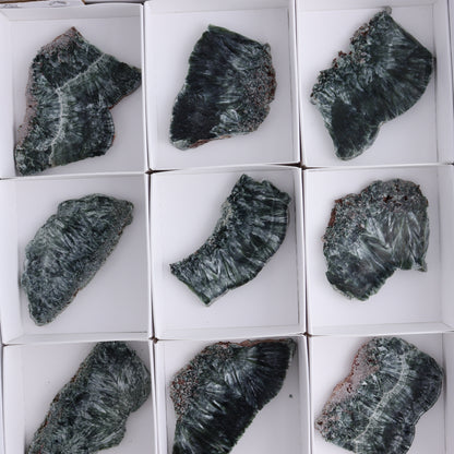 Seraphinite Slices Set of 12 - Expert Wholesale and Supplier of Wholesale Crystals & Bulk Gemstones, ["Seraphinite","Slices and Slabs"]