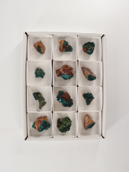 Dioptase Flat Set of 12