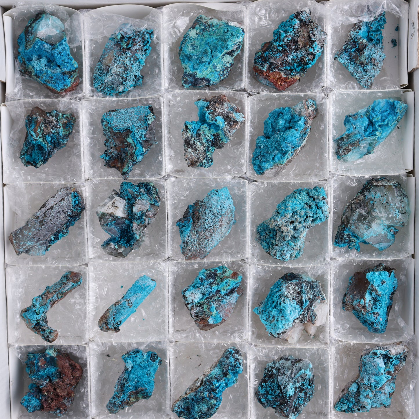 Chrysocolla on Quartz Roughs Set of 35