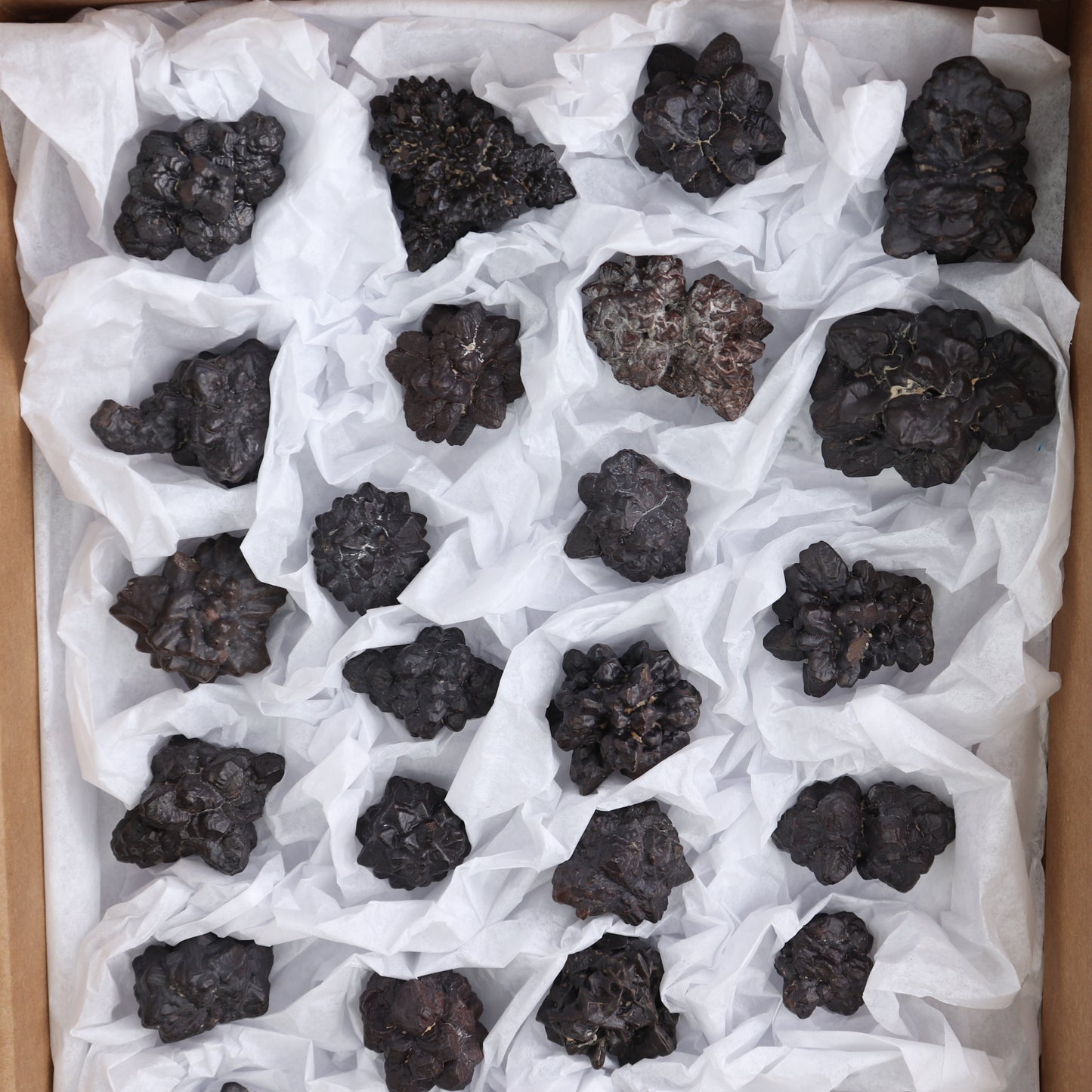 Egyptian Prophecy Stones Flat of 25