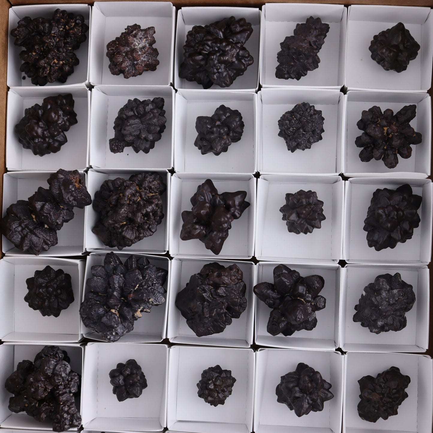 Egyptian Prophecy Stones Flat Set of 29 - Expert Wholesale and Supplier of Wholesale Crystals & Bulk Gemstones, ["Egypt","Freeforms","Prophecy Stone"]