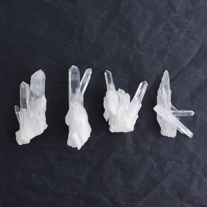 Lemurian Clusters from Columbia Set of 20