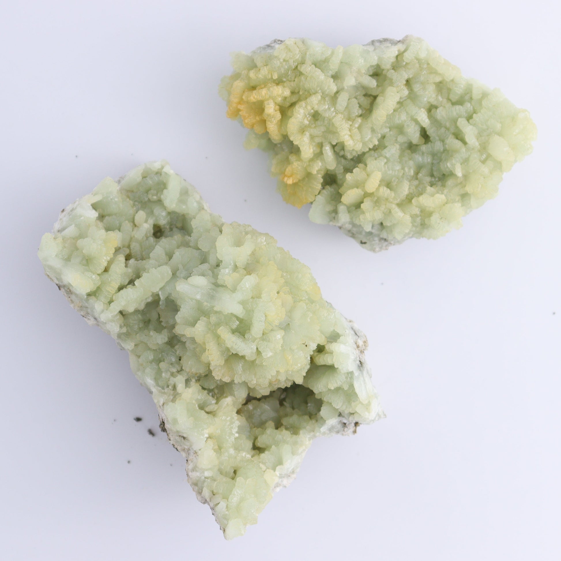 Prehnite Flat from Morocco - Expert Wholesale and Supplier of Wholesale Crystals & Bulk Gemstones, ["Flats","Morocco","Prehnite"]
