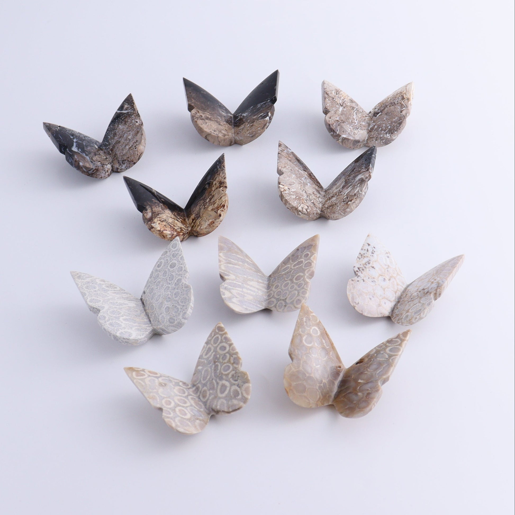 Butterflies Blue Palm Root & Fossil Coral Set of 10 - Expert Wholesale and Supplier of Wholesale Crystals & Bulk Gemstones, ["Butterflies","fossil coral","Palm Root"]