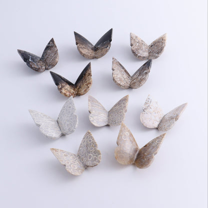Butterflies Blue Palm Root & Fossil Coral Set of 10 - Expert Wholesale and Supplier of Wholesale Crystals & Bulk Gemstones, ["Butterflies","fossil coral","Palm Root"]