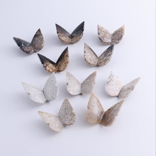 Butterflies Blue Palm Root & Fossil Coral Set of 10