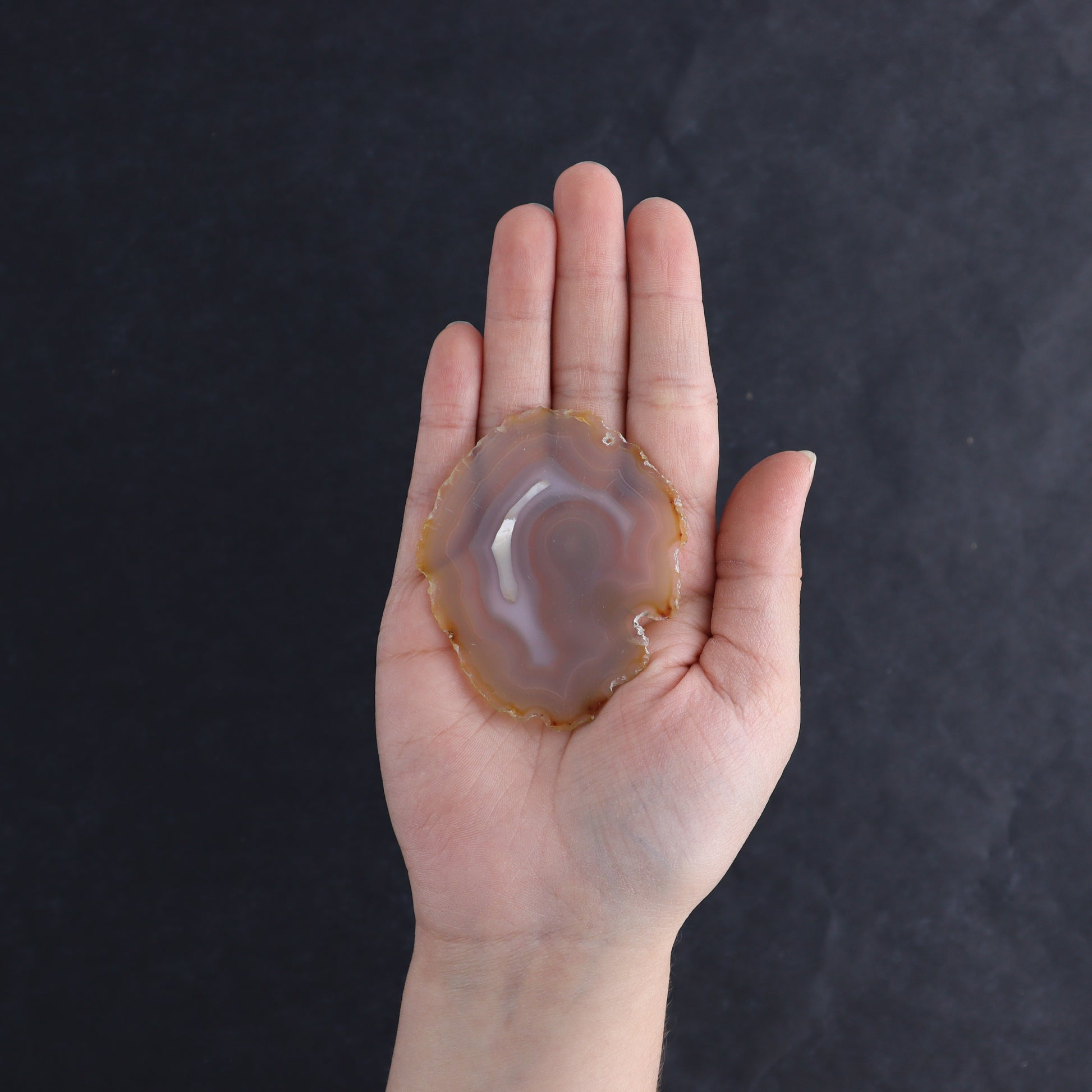Iris Agate Slices Set of 9 - Expert Wholesale and Supplier of Wholesale Crystals & Bulk Gemstones, ["Agate","Iris Agate","Slices and Slabs"]