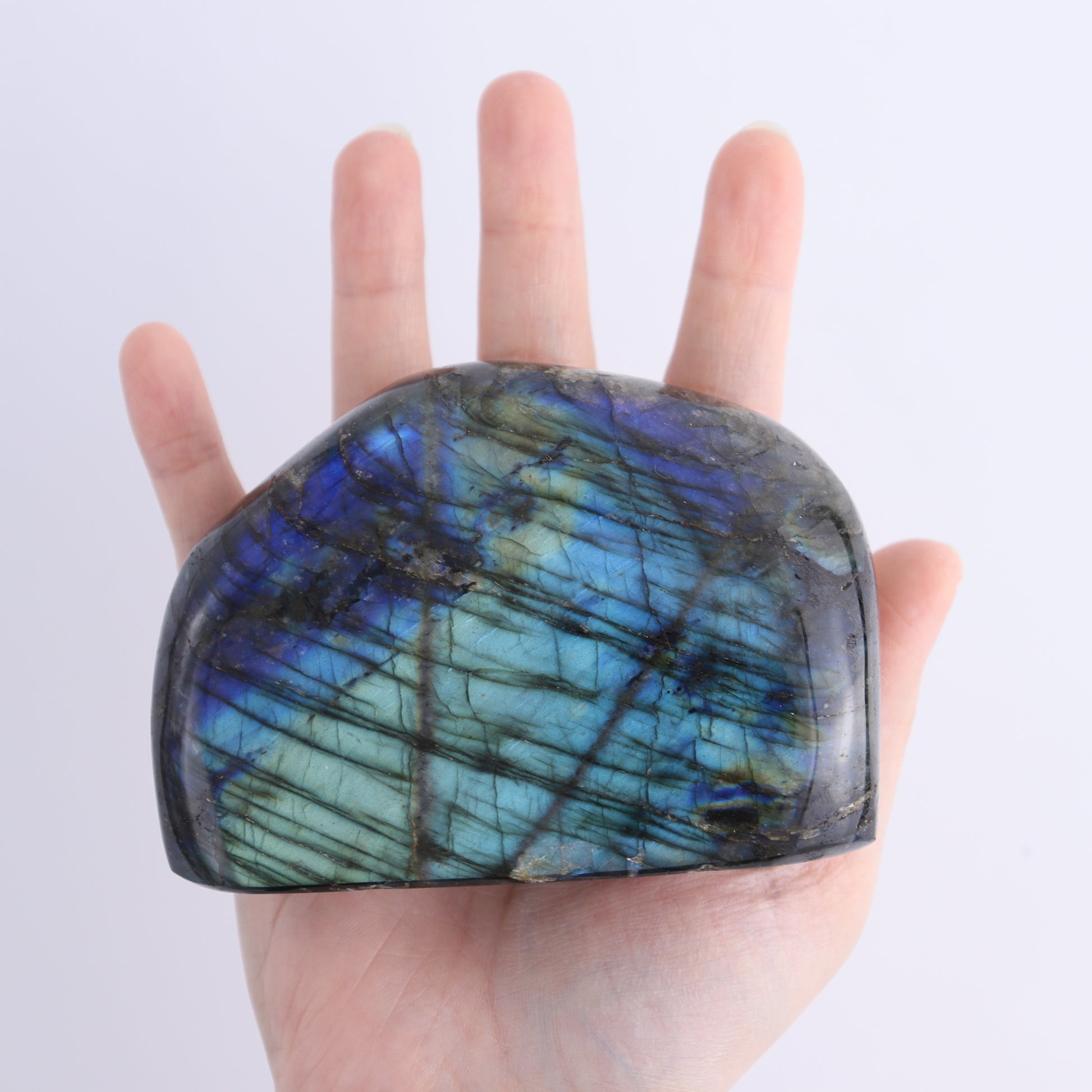 Labradorite Freeform Set of 4 - Expert Wholesale and Supplier of Wholesale Crystals & Bulk Gemstones, ["Freeforms","Labradorite","Madagascar"]