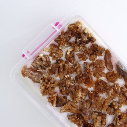 Honey Colored Quartz Flat from Morocco