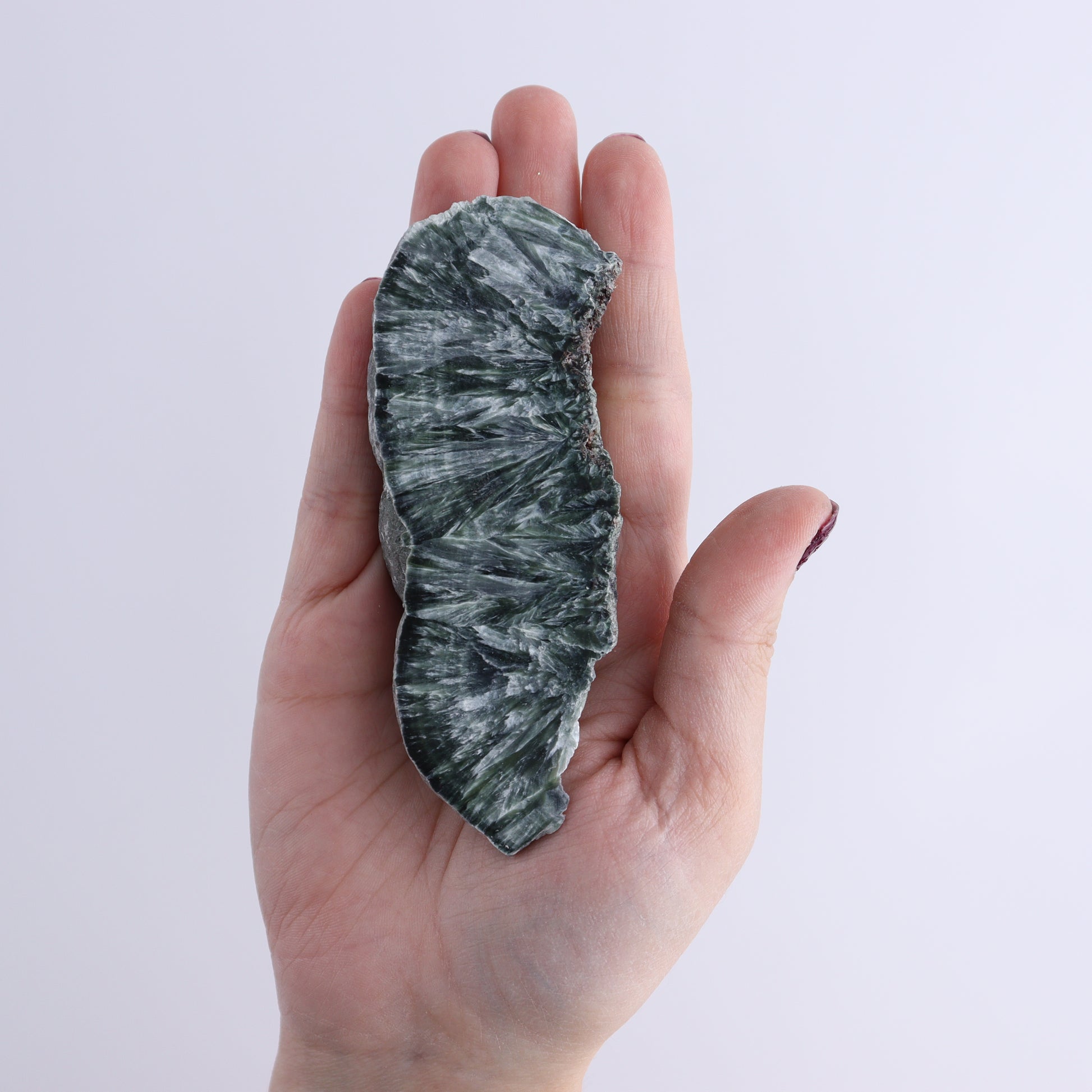 Seraphinite Slices Set of 12 - Expert Wholesale and Supplier of Wholesale Crystals & Bulk Gemstones, ["Seraphinite","Slices and Slabs"]