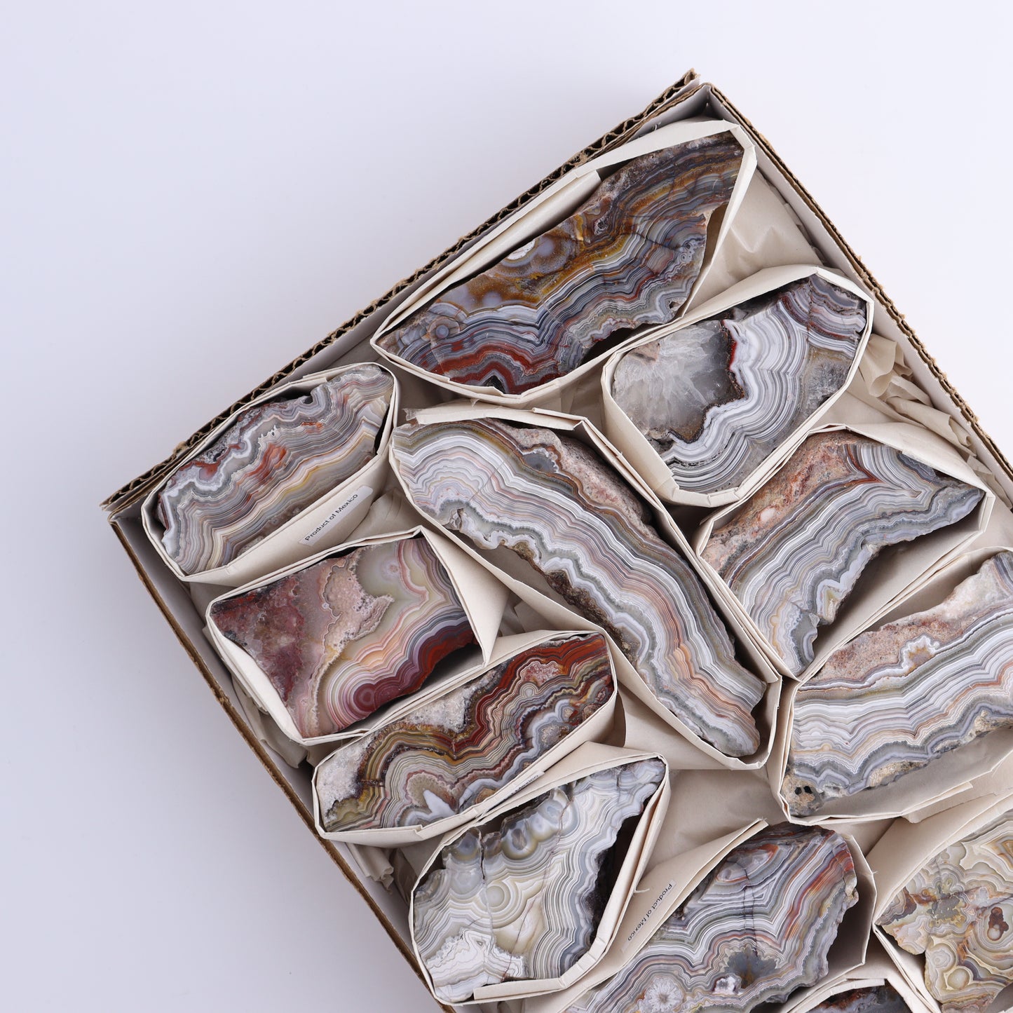 Crazy Lace Agate Flat of 12 - Expert Wholesale and Supplier of Wholesale Crystals & Bulk Gemstones, ["Crazy Lace Agate","Mexico"]