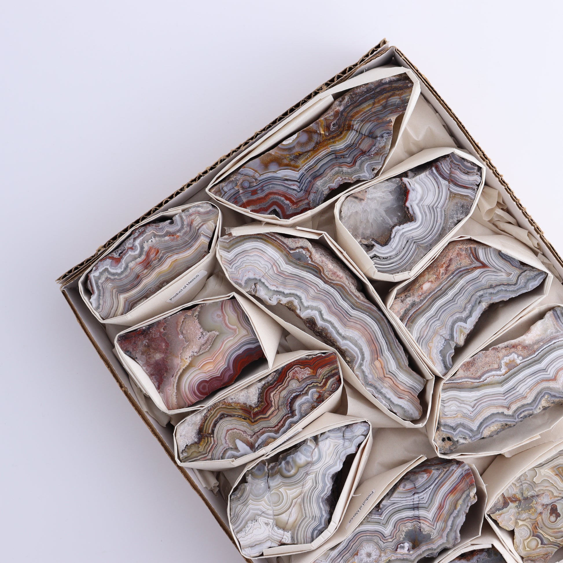 Crazy Lace Agate Flat of 12 - Expert Wholesale and Supplier of Wholesale Crystals & Bulk Gemstones, ["Crazy Lace Agate","Mexico"]