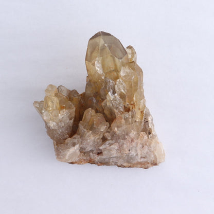 Congo Citrine Set of 6 - wholesale crystals