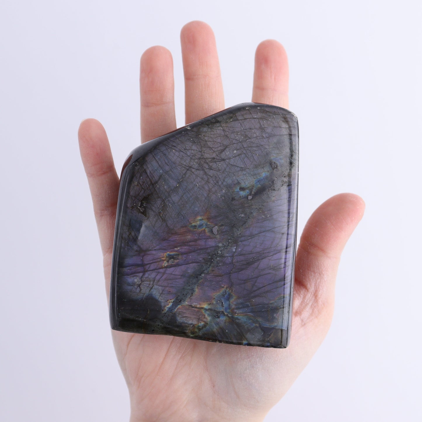 Labradorite Freeform Set of 8 - Expert Wholesale and Supplier of Wholesale Crystals & Bulk Gemstones, ["Freeforms","Labradorite","Madagascar"]