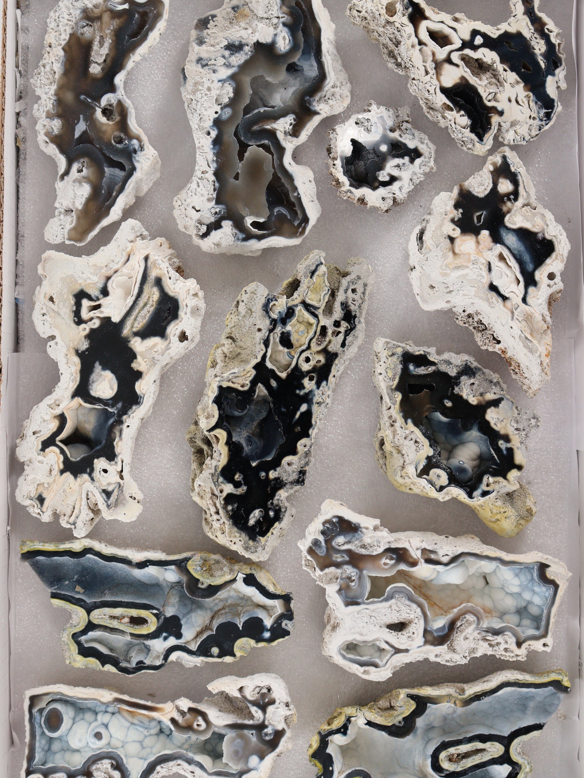 Agatized Coral Set of 12 - Expert Wholesale and Supplier of Wholesale Crystals & Bulk Gemstones, []