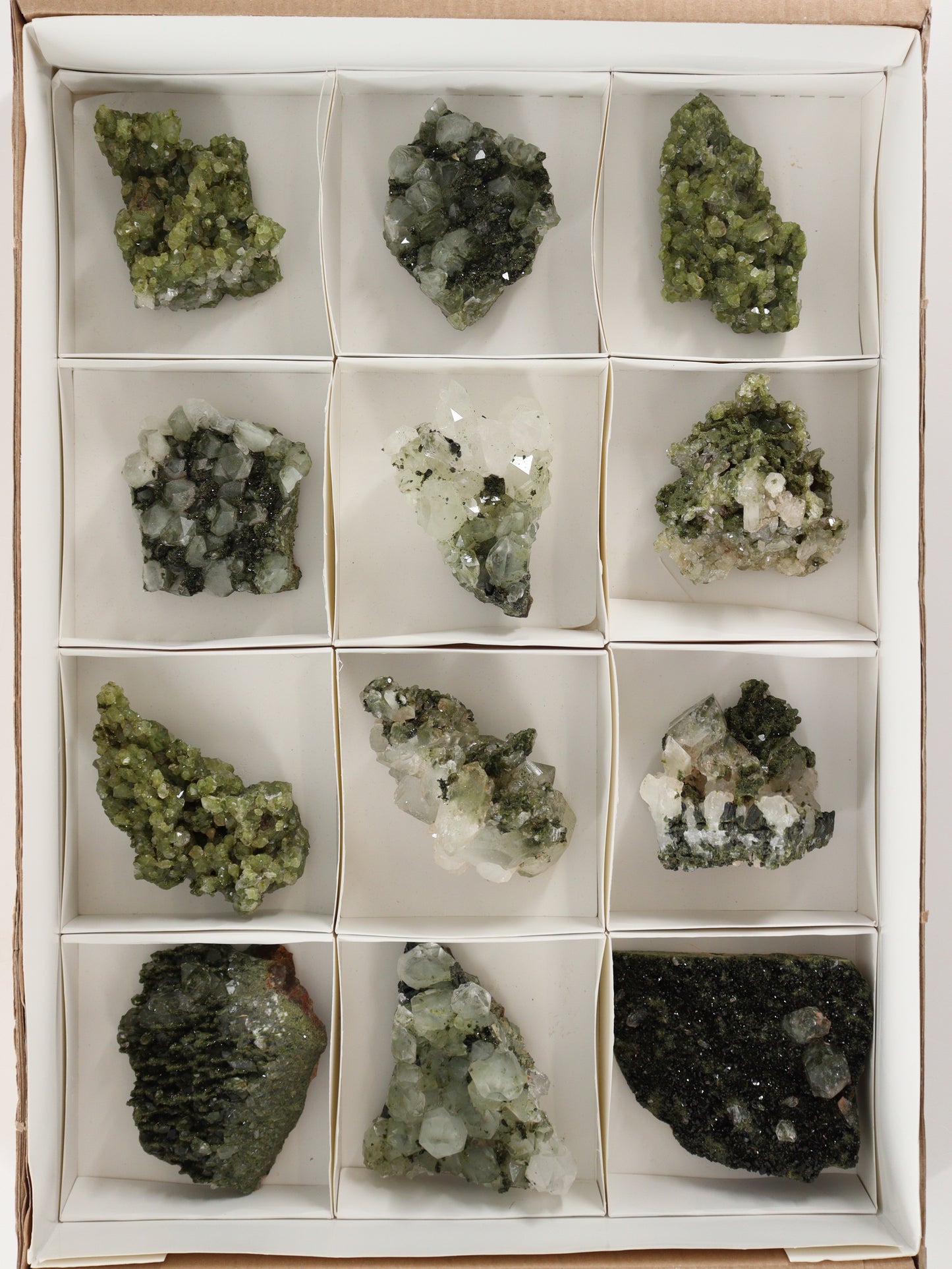 Epidote Flat Set of  12 - Expert Supplier of Wholesale Crystals & Bulk Gemstones