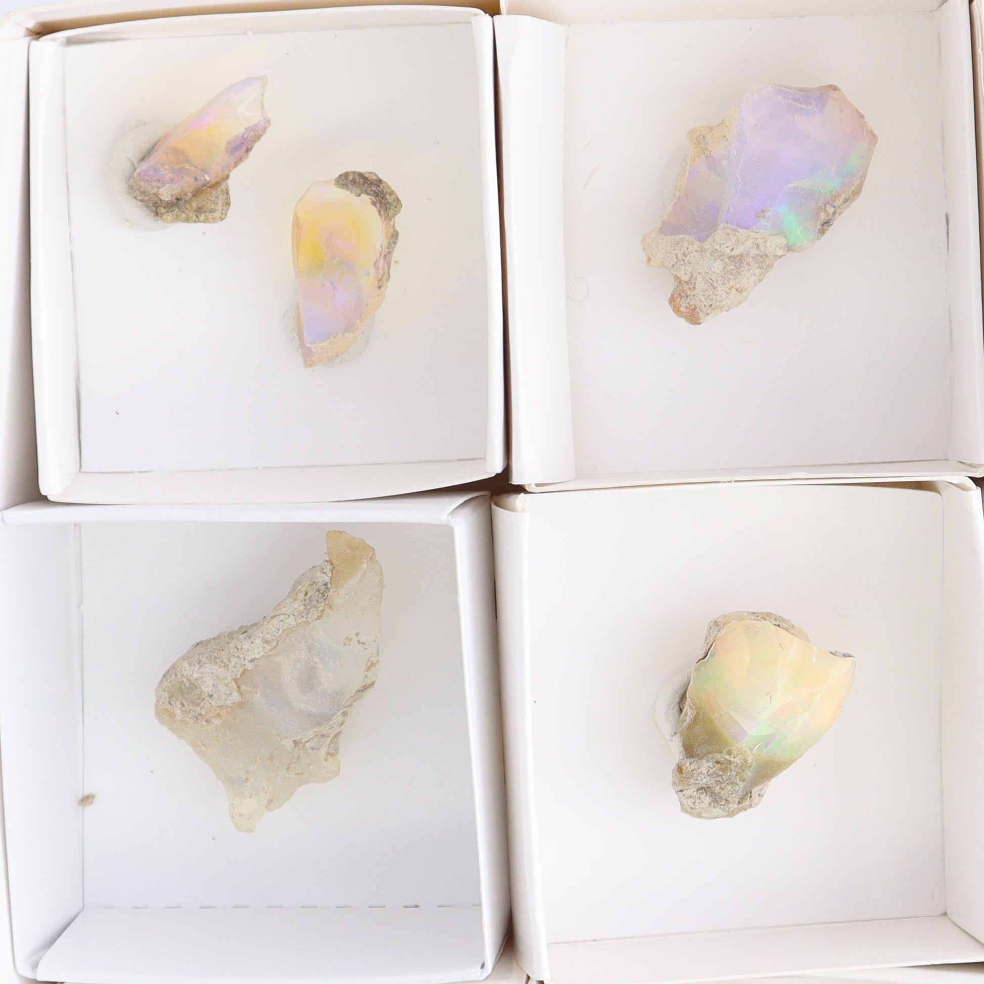 Ethiopian Opal Set of 11 - Expert Wholesale and Supplier of Wholesale Crystals & Bulk Gemstones, ["Ethiopia","ethiopian opal","Opal"]
