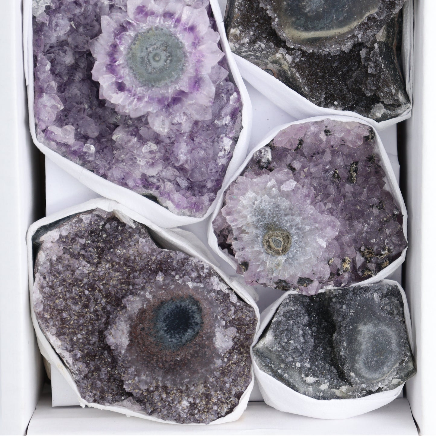 Uruguay Amethyst Clusters with "Eyes" Flat of 7 - Expert Wholesale and Supplier of Wholesale Crystals & Bulk Gemstones, ["Amethyst","Amethyst Eyes","Clusters","Uruguay"]